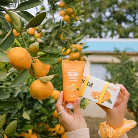 JEJU タンジェリン ハンドクリーム